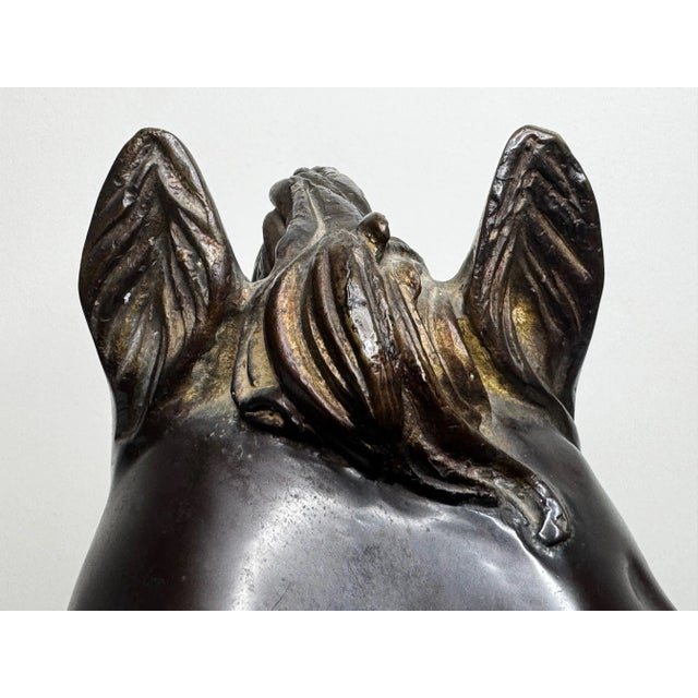 Mid-Century Italian Expressive Bronze Horse Head Sculpture C1950 After Raffaello Romanelli For Sale - Image 15 of 16