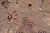 Shabby Chic Shabby Chic Ziegler Gray/Tan Wool Round Rug - 10'0'' X 10'0'' For Sale - Image 3 of 10