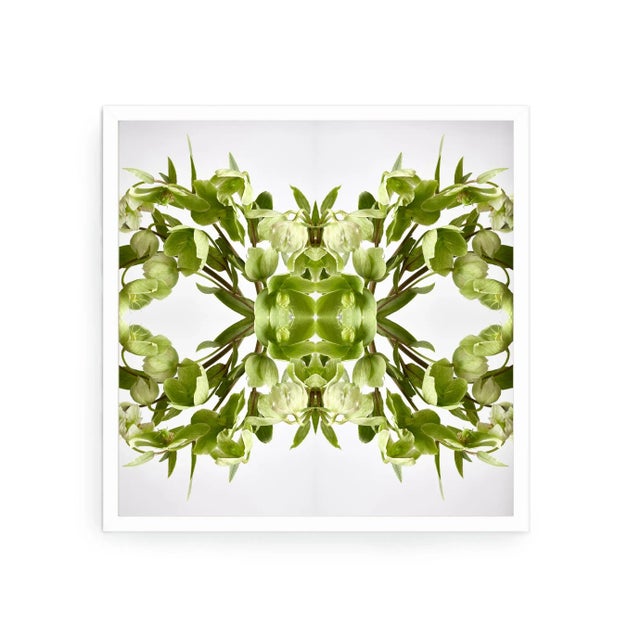 "No. 119" Contemporary Original Op Art Botanical Limited Edition Photograph Print by Erin Derby For Sale - Image 4 of 5