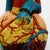 Art Deco 1940s Heart Anatomical Model Life Size For Sale - Image 3 of 5