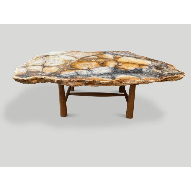 Wood Andrianna Shamaris Beautiful Rare Petrified Wood Coffee Table For Sale - Image 7 of 18