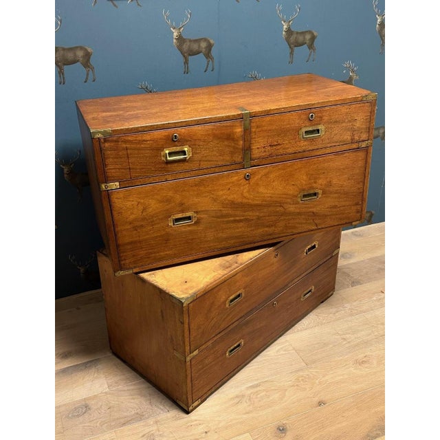 Tan Military Campaign Chest of Drawers For Sale - Image 8 of 13