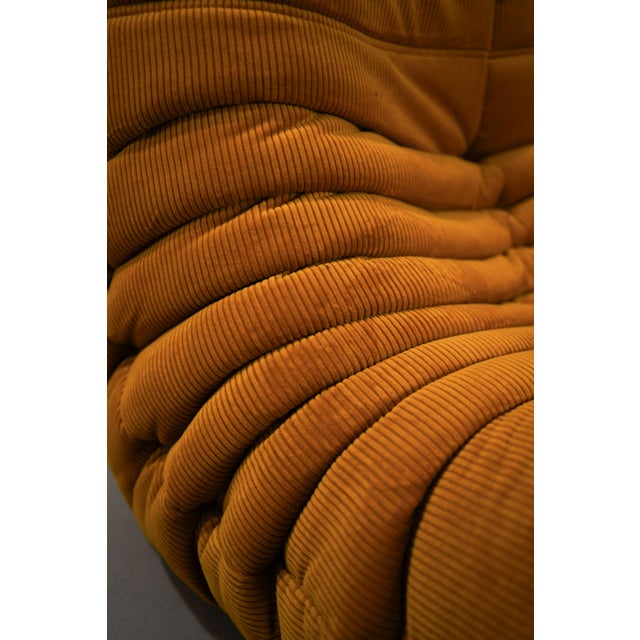Ligne Roset Goldenrod Corduroy Togo 2-Seat by Michel Ducaroy for Ligne Roset For Sale - Image 4 of 5
