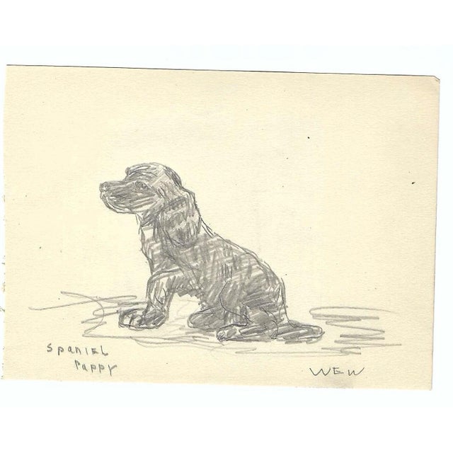 1943 drawing on paper of a spaniel puppy by Devon, UK artist William E. Wood. Signed lower right. Combined shipping...