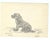 1943 drawing on paper of a spaniel puppy by Devon, UK artist William E. Wood. Signed lower right. Combined shipping...