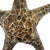 Large Vintage Cast Brass Starfish Sculpture or Paper Weight With Aged Patina, Circa 1970s For Sale In Oklahoma City - Image 6 of 8