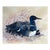 Loon Shore Bird Painting by McCoy For Sale