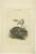 This engraving, titled "Die Fischotter" and marked as Tab.LVIII, depicts an otter in a natural setting, engaging in its...