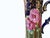 Japanese Nippon Morigage Porcelain Tankard, 16" Tall, Ca 1910 For Sale - Image 10 of 11