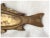 Antique Art Deco Asian Coy Fish Tray, Bronze Pen Holder, Desk or Vanity Tray For Sale - Image 4 of 8