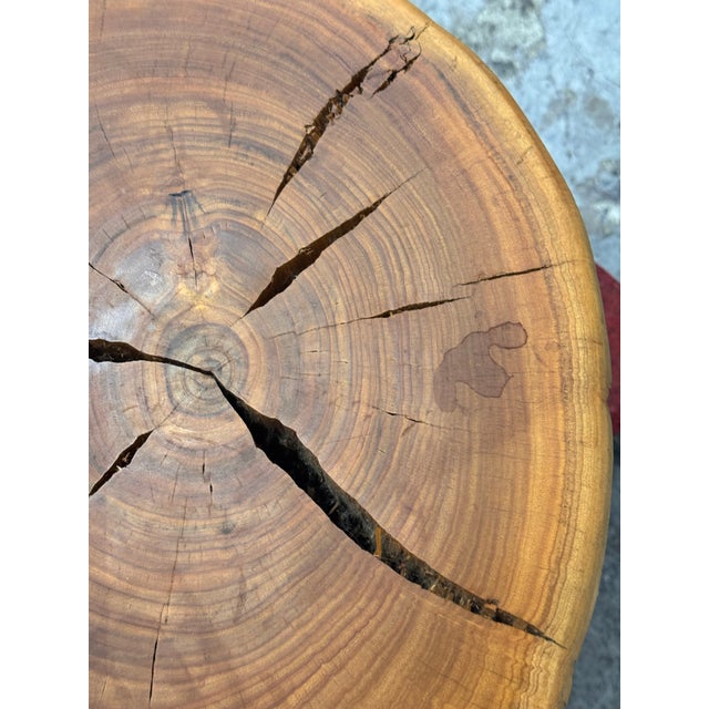 Organic Modern Live Edge Tree Side Table/ Stools, Set of Four For Sale - Image 9 of 12
