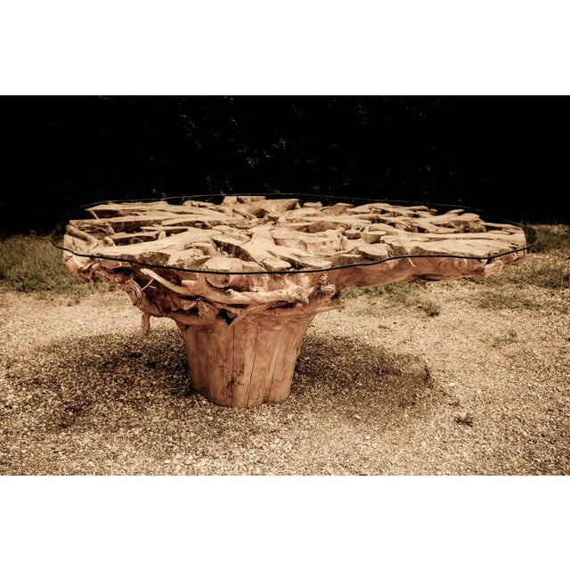 Contemporary Monumental One-of-a-Kind Sculptural Root Table With Custom Tempered Glass For Sale - Image 3 of 8