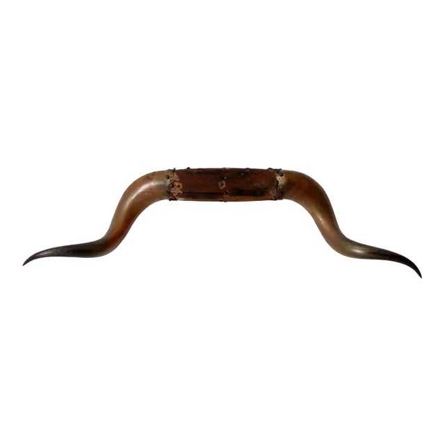 Antique Bull Horns Wall Mount For Sale