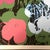 American 1990s After Andy Warhol "Poppy Flowers" Lithograph For Sale - Image 3 of 11