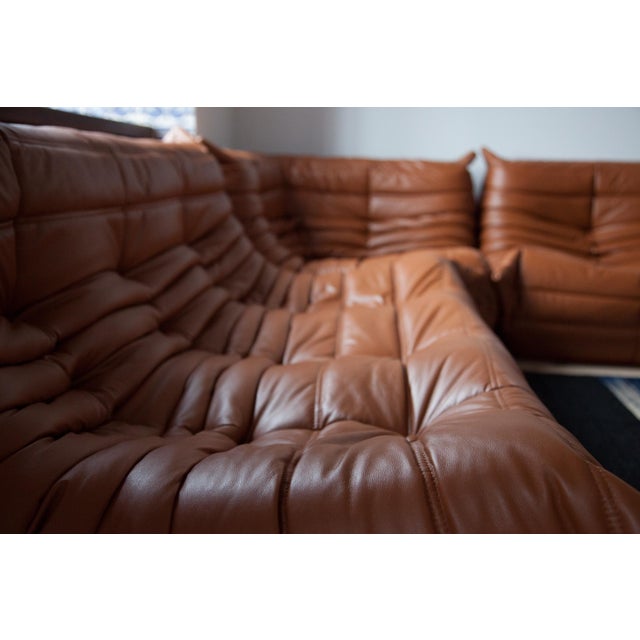 Togo Set in Cognac Brown Leather, 1970s, Set of 5 For Sale - Image 11 of 18