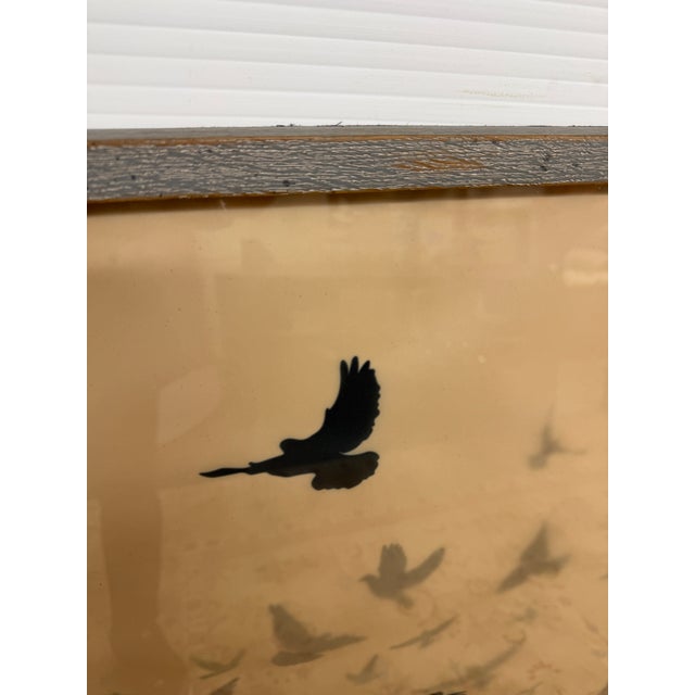 Restoration Hardware Teen Birds in Flight Vellum Print, Framed For Sale - Image 9 of 12