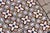 Art Nouveau / Early Art Deco Design Set of 33 Portuguese Geometric Tiles Multicolor c.1900s For Sale - Image 13 of 18