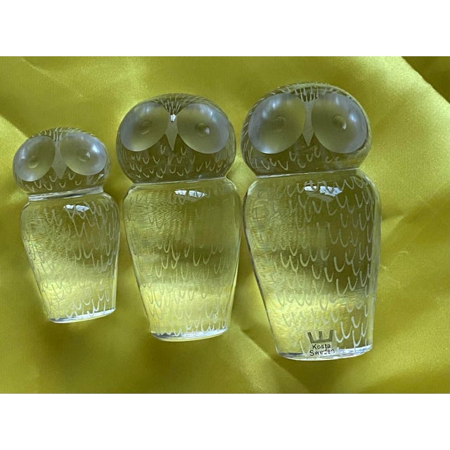 1960s Set of 3 Vintage 1960's Kosta Boda Crystal Owl Paperweights Handblown by Vicke Lindstrand, Signed and Numbered For Sale - Image 5 of 12