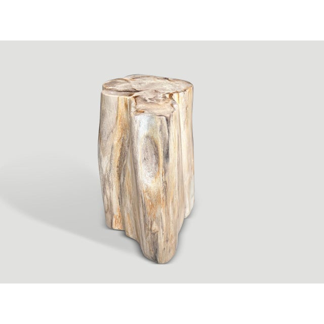 2020s Andrianna Shamaris Impressive High Quality Ancient Petrified Wood Side Table For Sale - Image 5 of 7