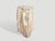 2020s Andrianna Shamaris Impressive High Quality Ancient Petrified Wood Side Table For Sale - Image 5 of 7