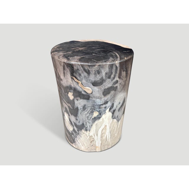Rare beautiful tones and markings on this impressive super smooth petrified wood side table. It’s fascinating how Mother...