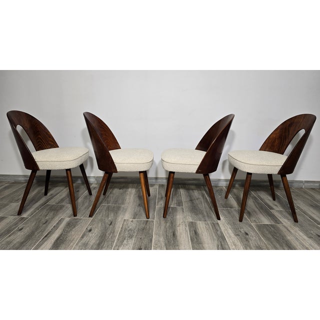 1960s Dining Chairs by Antonin Suman, 1960s, Set of 4 For Sale - Image 5 of 13