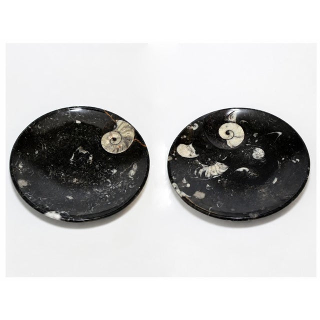 Gemstone Pair Large Ammonite Plates Black White 6.25" Millions Years For Sale - Image 7 of 9
