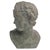Bust of Eros in Bronzed Plaster For Sale - Image 12 of 12