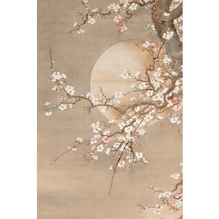 Japanese Plum Blossoms in Moonlight by Sō Shizan, Japanese Art, 20" X 30" For Sale