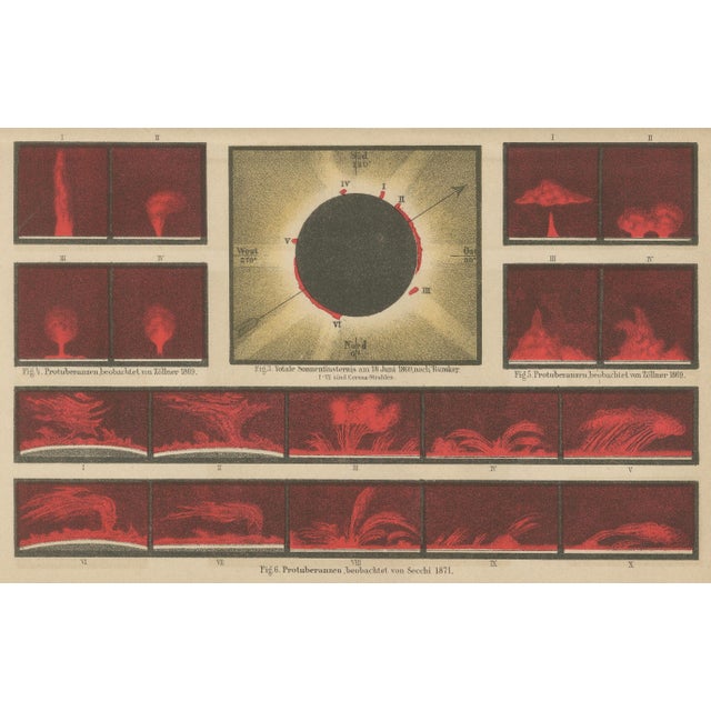 Antique Solar Study Chart, 1890s For Sale - Image 5 of 9