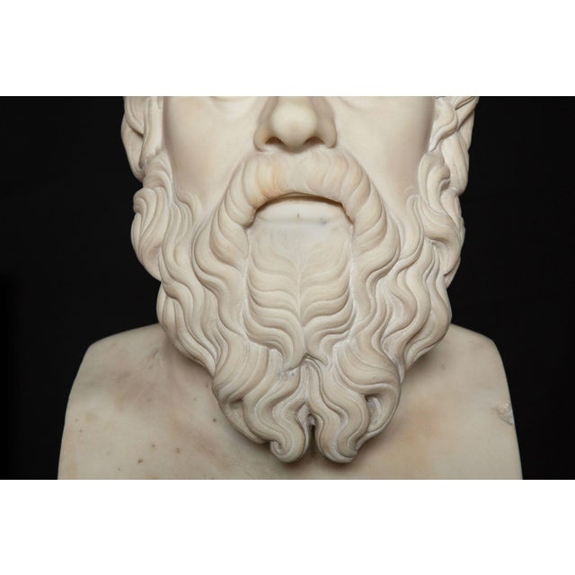 19th Century Antique Italian Grand Tour Marble Bust of Socrates Ca. 1860-80 For Sale - Image 9 of 17