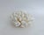 Shell Natural White Cluster Coral Specimen Coastal Decor For Sale - Image 7 of 8