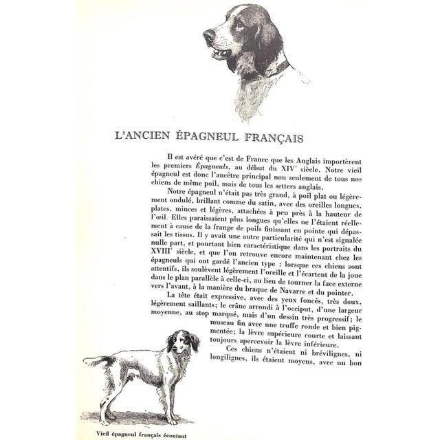 "Les Chiens D'Arret" 1971 Oberthur, J. For Sale - Image 11 of 12