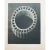 1935 Karl Blossfeldt Two-Sided Photogravure N 5-6 For Sale - Image 10 of 13