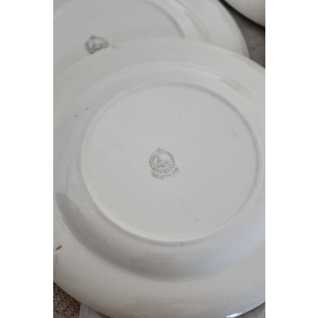 Earthenware Dessert Plates with Polychrome Floral Patterns from Royal Sphinx, Maastricht, Belgium, Set of 6 For Sale - Image 5 of 12