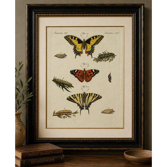Original antique print of swallowtail and painted lady butterflies by bertuch, c. 1800 original antique hand-colored...