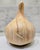 Vintage Costa Rican hand-carved onion or bulb form sculpture crafted from richly grained exotic hardwood with a smooth,...