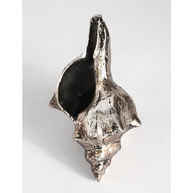 Nautical Real Shell Seashell Silver Alloy Dipped For Sale - Image 3 of 8