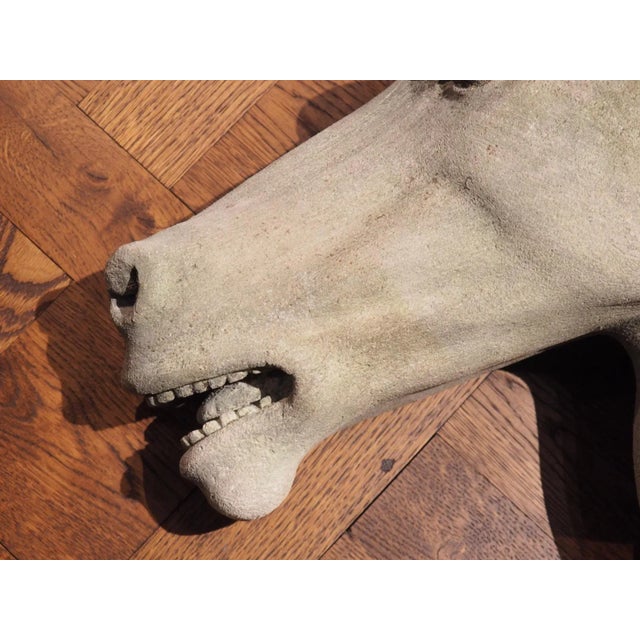 Early 21st Century Carved Limestone Horsehead From Italy For Sale - Image 5 of 13