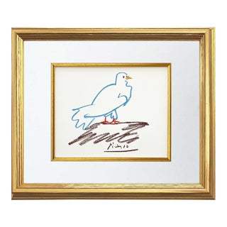 Picasso Lithograph 59 Verwidwete Dove Framed For Sale