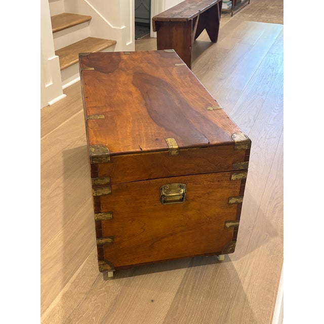 Large 19th Century British Campaign Trunk in Brass Bound Camphor Wood For Sale - Image 4 of 15