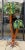1970s Continental Hans Kogl Life Size Tole Polychrome Palm Tree Floor Lamp For Sale - Image 9 of 9