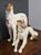 Mid-Century Borzoi Dog Sculpture by Paul S., Italy – Large Ceramic Russian Wolfhound Figurine For Sale - Image 4 of 7