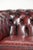 English Chesterfield Club Armchair For Sale - Image 11 of 14