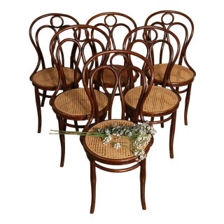 Antique Angel Wing Model Bistro Chairs by Hofmann, 1900, Set of 6 For Sale