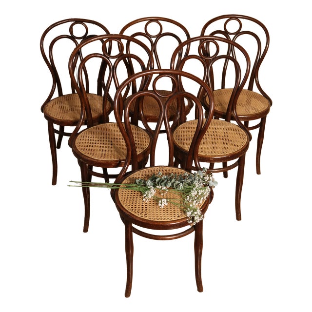 Antique Angel Wing Model Bistro Chairs by Hofmann, 1900, Set of 6 For Sale