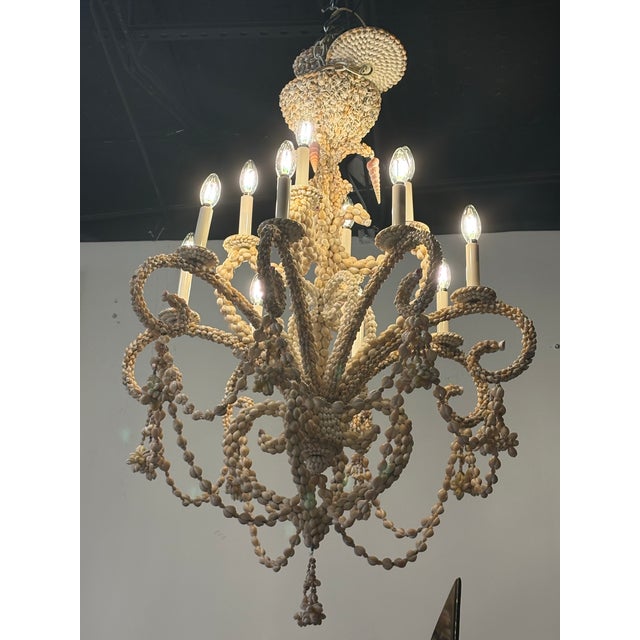 Vintage Palm Beach shell seashell encrusted 12 light chandelier. Tested working order. No damage or missing shells. Comes...