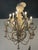 Vintage Palm Beach shell seashell encrusted 12 light chandelier. Tested working order. No damage or missing shells. Comes...