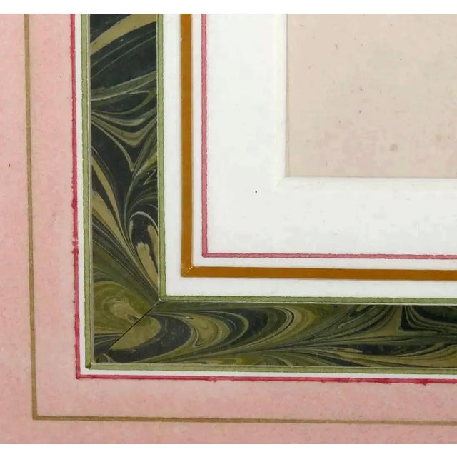English Botanical Watercolor of Seven Tulips, Flamed and Feathered Florists' Varieties For Sale In Philadelphia - Image 6 of 6