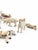 Great for Decor - Late 19th C. Antique German Hide-Covered Miniature Putz Farm Animals - Lot of 11 For Sale In San Diego - Image 6 of 9
